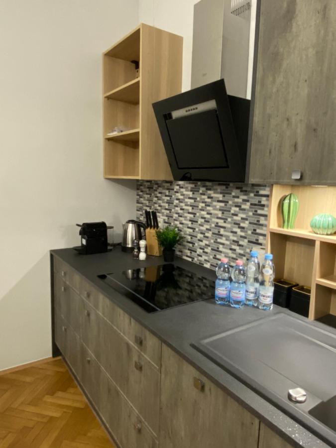 Dunin Majestic Residence 4 Krakow Bagian luar foto